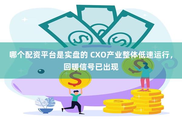 哪个配资平台是实盘的 CXO产业整体低速运行，回暖信号已出现