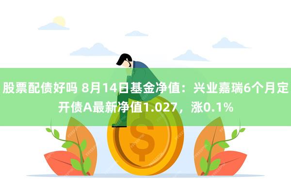 股票配债好吗 8月14日基金净值：兴业嘉瑞6个月定开债A最新净值1.027，涨0.1%