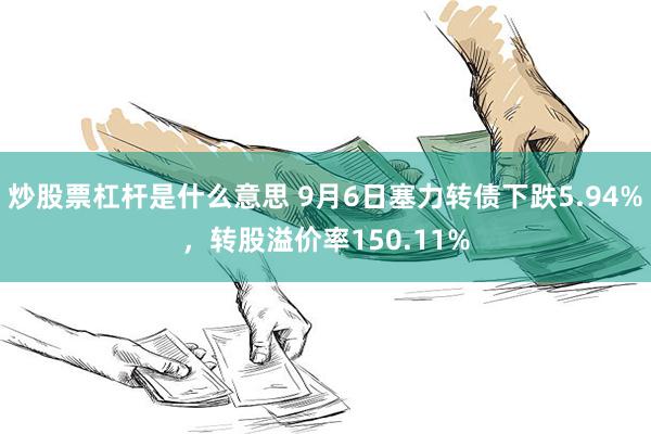 炒股票杠杆是什么意思 9月6日塞力转债下跌5.94%，转股溢价率150.11%