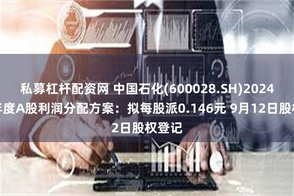 私募杠杆配资网 中国石化(600028.SH)2024年半年度A股利润分配方案：