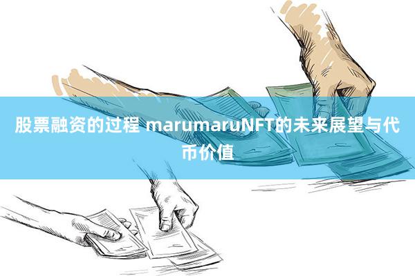 股票融资的过程 marumaruNFT的未来展望与代币价值