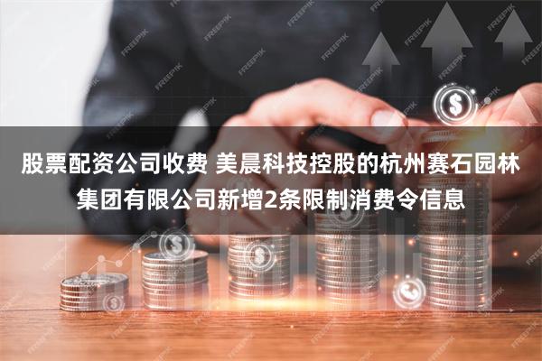 股票配资公司收费 美晨科技控股的杭州赛石园林集团有限公司新增2条限制消费令信息