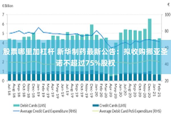 股票哪里加杠杆 新华制药最新公告：拟收购挪亚圣诺不超过75%股权