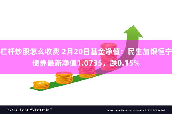 杠杆炒股怎么收费 2月20日基金净值：民生加银恒宁债券最新净值1.0735，跌0