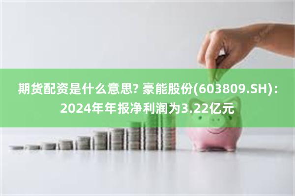 期货配资是什么意思? 豪能股份(603809.SH)：2024年年报净利润为3.