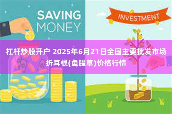 杠杆炒股开户 2025年6月21日全国主要批发市场折耳根(鱼腥草)价格行情