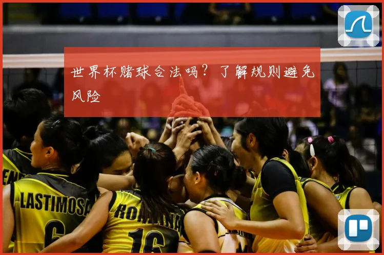 世界杯赌球合法吗？了解规则避免风险
