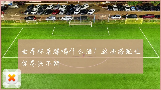 世界杯看球喝什么酒？这些搭配让你尽兴不醉