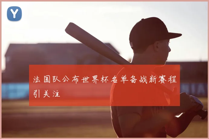 法国队公布世界杯名单备战新赛程引关注