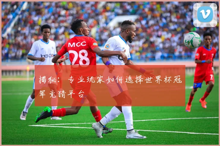 揭秘：专业玩家如何选择世界杯冠军竞猜平台