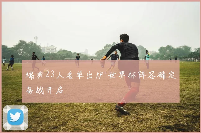 瑞典23人名单出炉 世界杯阵容确定备战开启