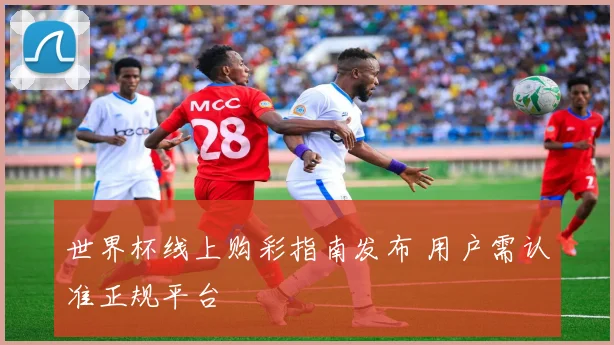 世界杯线上购彩指南发布 用户需认准正规平台