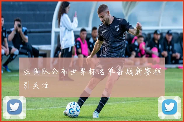 法国队公布世界杯名单备战新赛程引关注