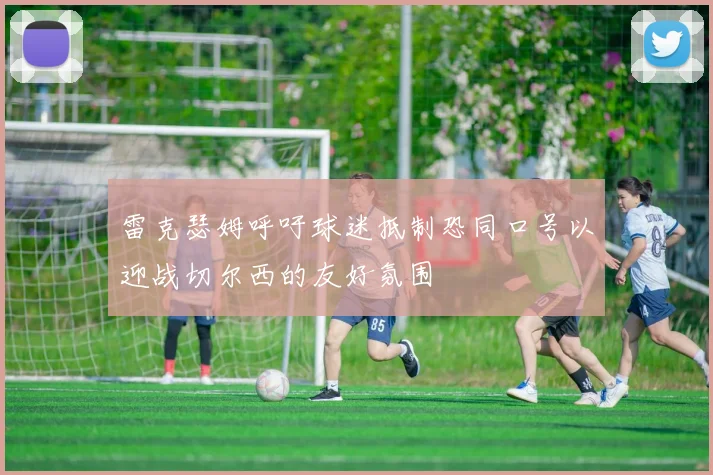 雷克瑟姆呼吁球迷抵制恐同口号以迎战切尔西的友好氛围