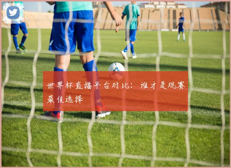 世界杯直播平台对比:谁才是观赛最佳选择