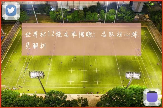 世界杯12强名单揭晓：各队核心球员解析