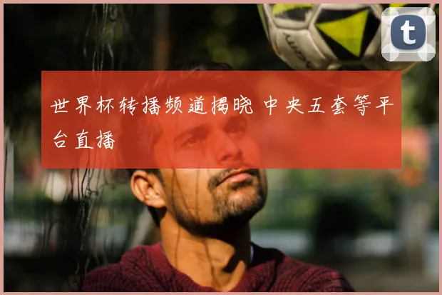 世界杯转播频道揭晓 中央五套等平台直播