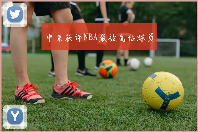 申京获评NBA最被高估球员
