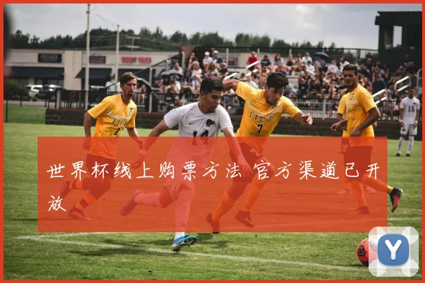世界杯线上购票方法 官方渠道已开放