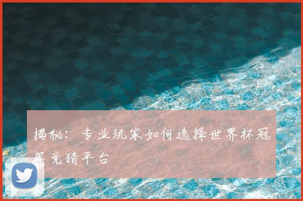揭秘:专业玩家如何选择世界杯冠军竞猜平台
